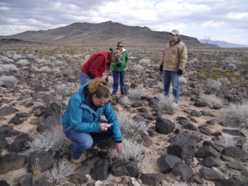 Nevada Archaeological Association 2012 Lake Mead01