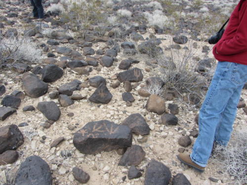 Nevada Archaeological Association 2012 Lake Mead10