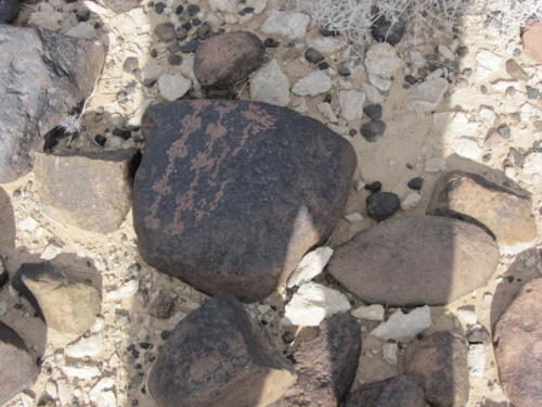 Nevada Archaeological Association 2012 Lake Mead31