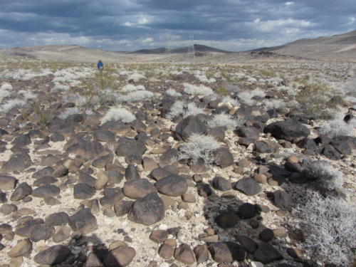 Nevada Archaeological Association 2012 Lake Mead34