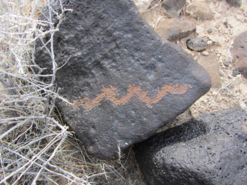 Nevada Archaeological Association 2012 Lake Mead48