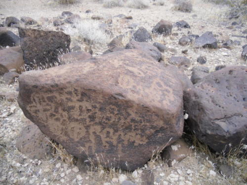 Nevada Archaeological Association 2012 Lake Mead79