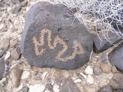 Nevada Archaeological Association 2012 Lake MeadG04