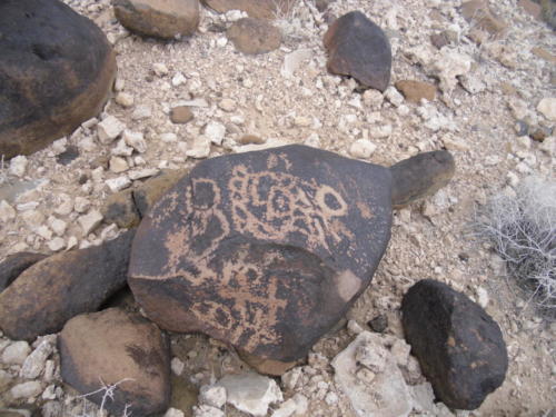 Nevada Archaeological Association 2012 Lake MeadG06