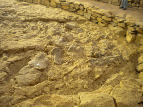 Nevada Archaeological Association 2010 Berlin Ichthyosaur1038