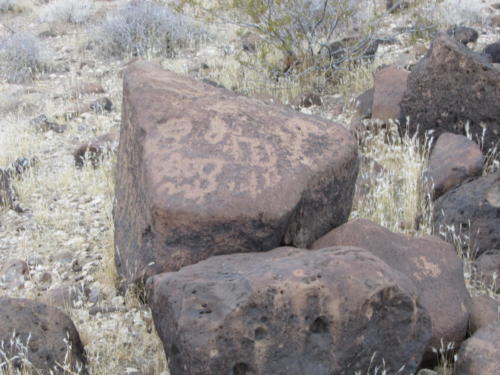 Nevada Archaeological Association 2012 Lake Mead07