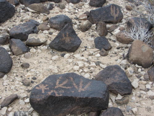Nevada Archaeological Association 2012 Lake Mead11