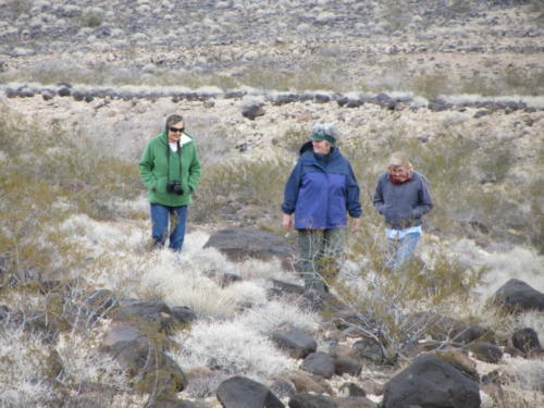 Nevada Archaeological Association 2012 Lake Mead12