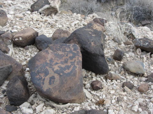 Nevada Archaeological Association 2012 Lake Mead15
