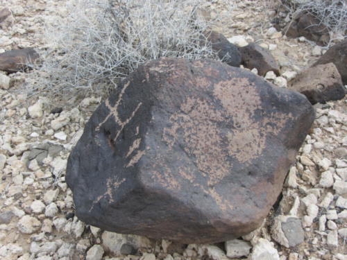 Nevada Archaeological Association 2012 Lake Mead16