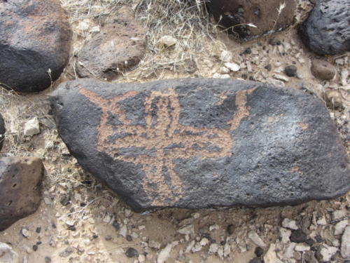 Nevada Archaeological Association 2012 Lake Mead17