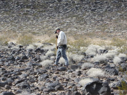 Nevada Archaeological Association 2012 Lake Mead19