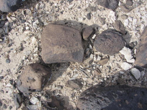 Nevada Archaeological Association 2012 Lake Mead21