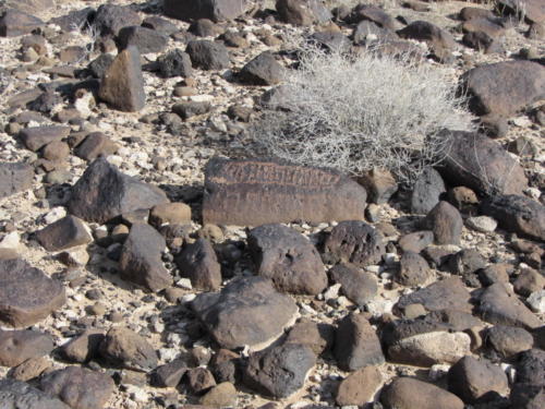 Nevada Archaeological Association 2012 Lake Mead23