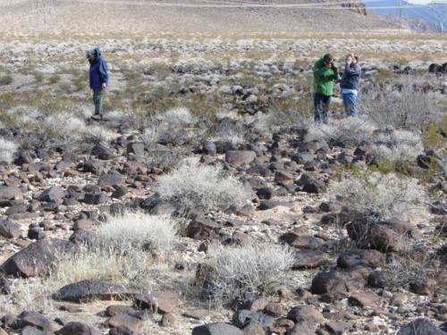Nevada Archaeological Association 2012 Lake Mead24