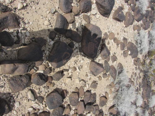 Nevada Archaeological Association 2012 Lake Mead32
