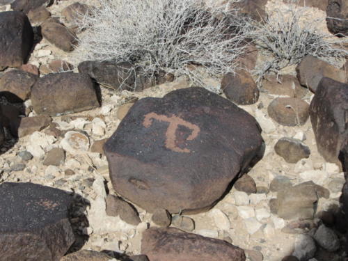 Nevada Archaeological Association 2012 Lake Mead35