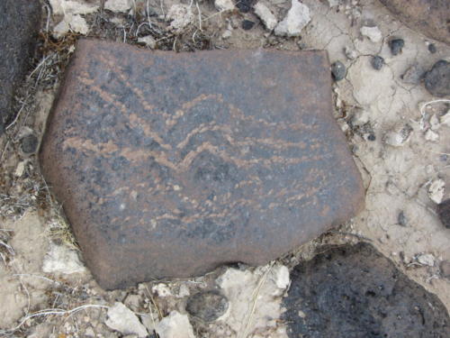 Nevada Archaeological Association 2012 Lake Mead43