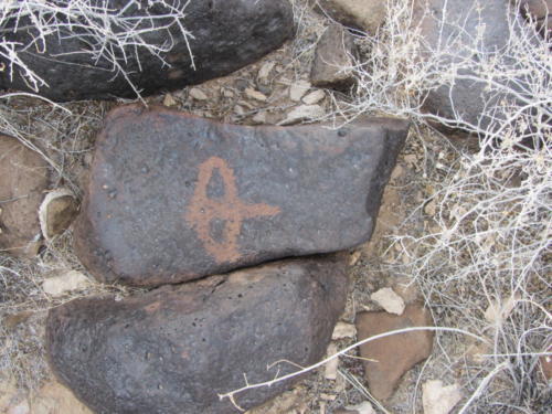 Nevada Archaeological Association 2012 Lake Mead47