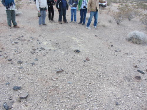 Nevada Archaeological Association 2012 Lake Mead78